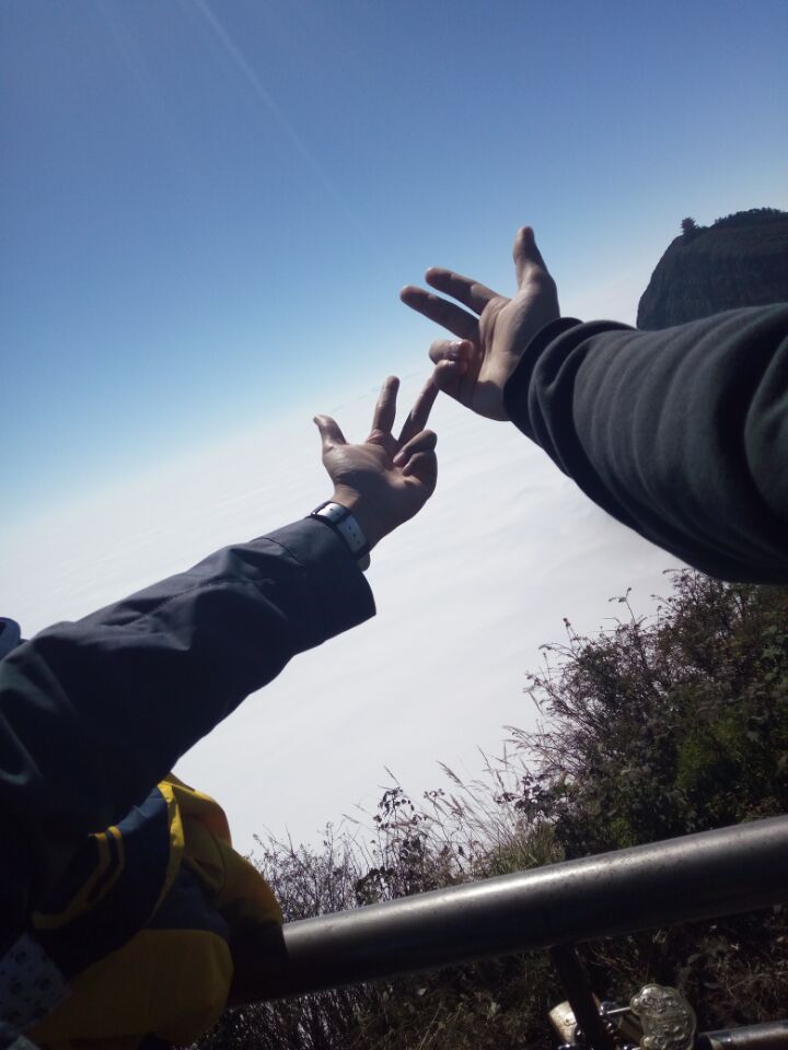 脑海中的苦味糖
